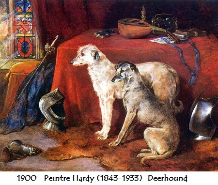 1900 peintre hardy 1843 1933 deerhound