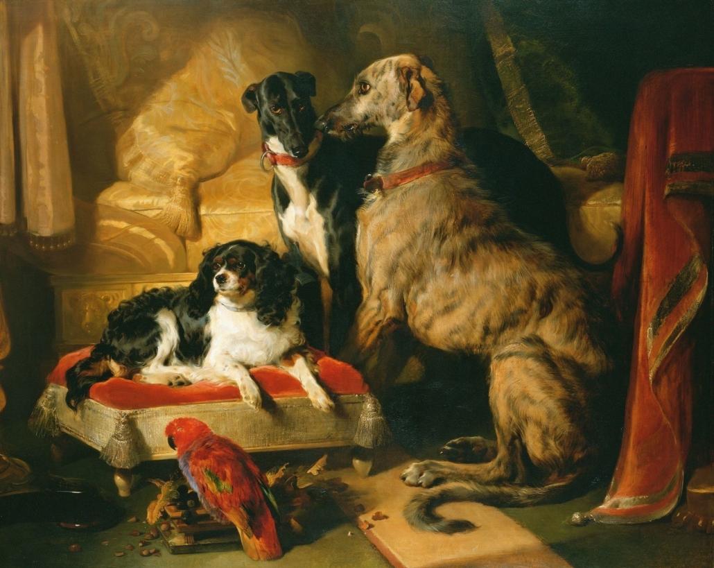 Hector nero and dash with the parrot lory royal collection 1030x819