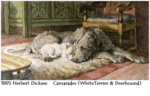 1895 herbert dicksee camarades whiteterrier deerhound