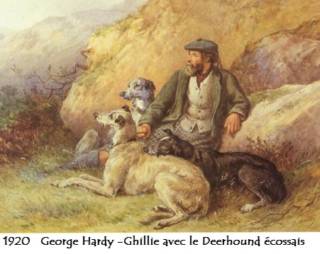 1920 george hardy ghillie avec le deerhound ecossais
